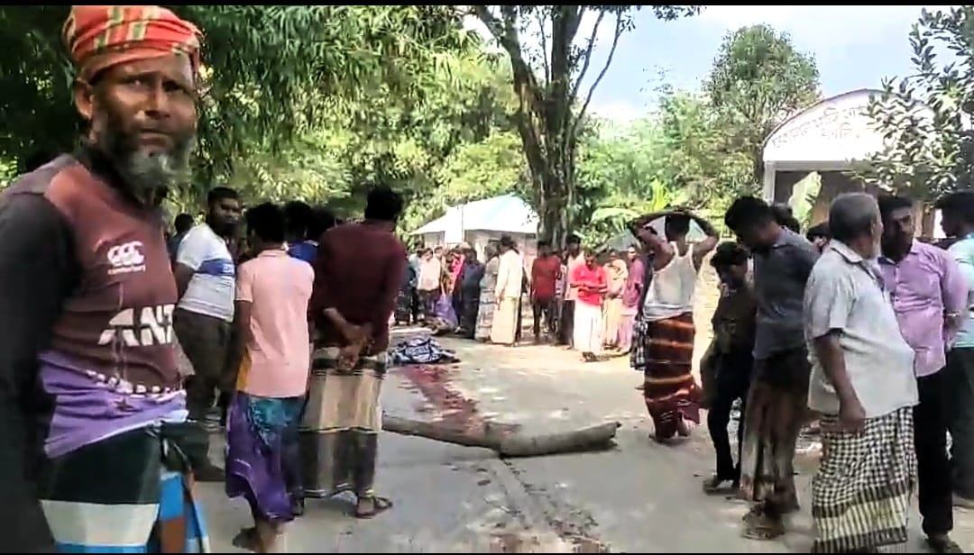 পঞ্চগড়ে পৃথক ঘটনায় নারীসহ দুজনের মৃত্যু